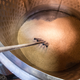 Illustration for article titled How We Brewed the Beer of the Future